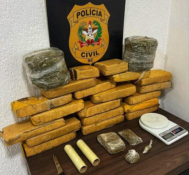 maconha barravas