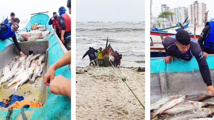 Pesca-Barra-Velha-696x392