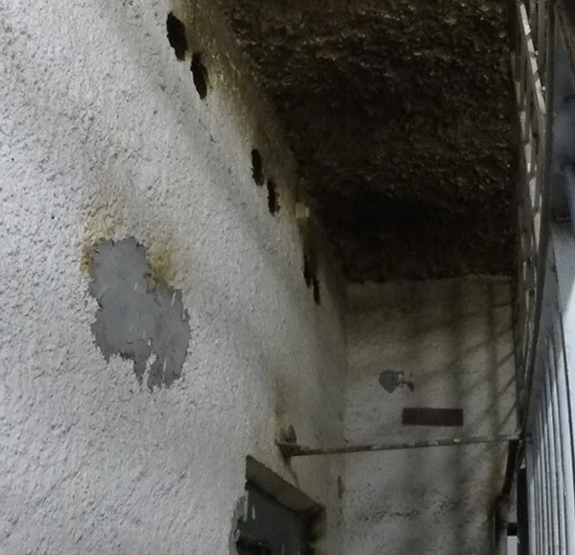 penitenciaria