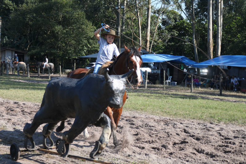 cavalo