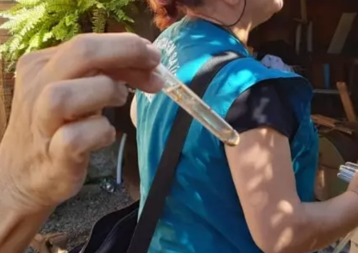 dengue1