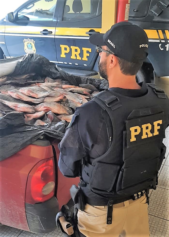 peixe