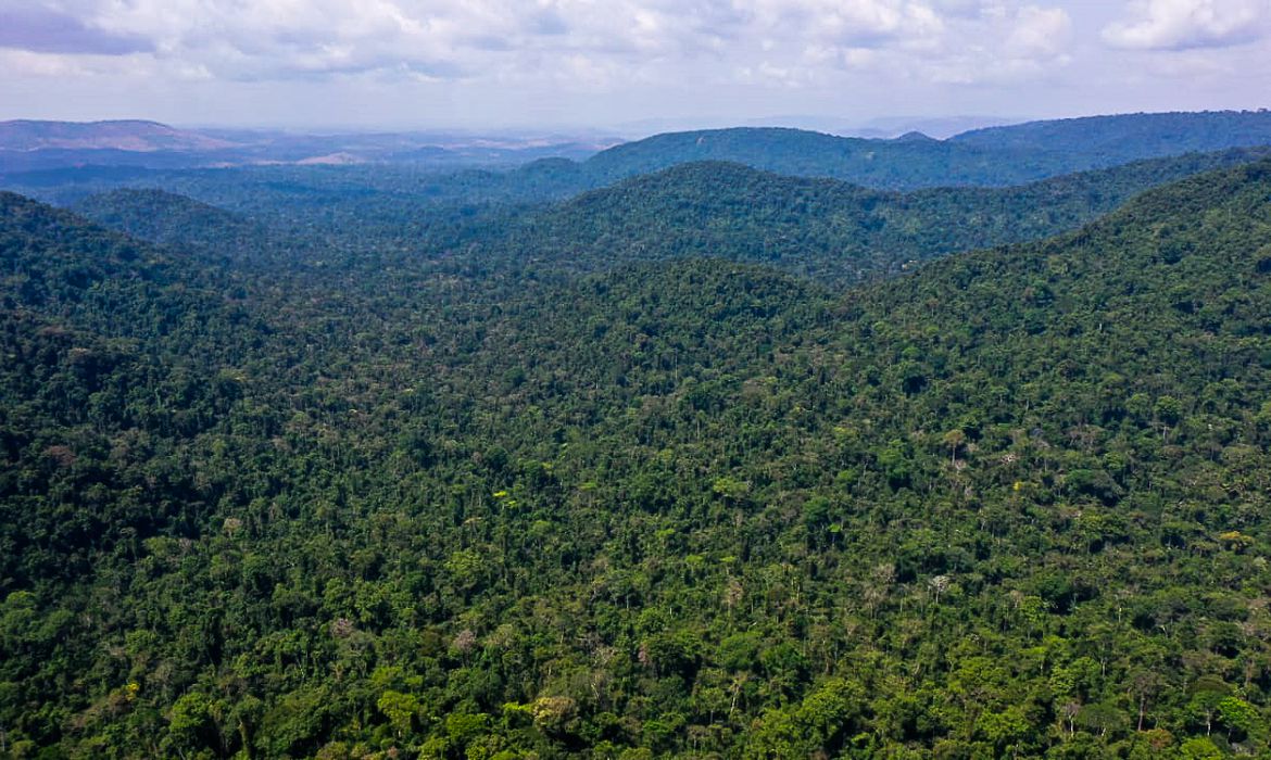 amazonia