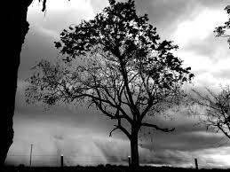 frente fria