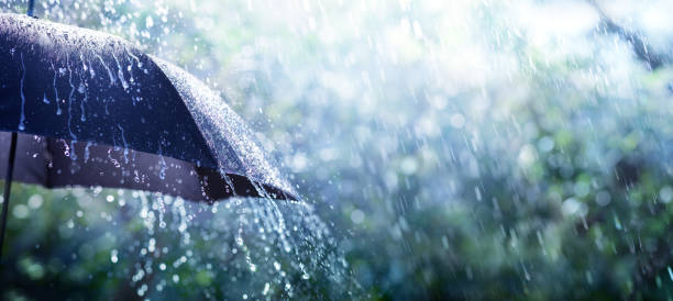 chuva.jpg