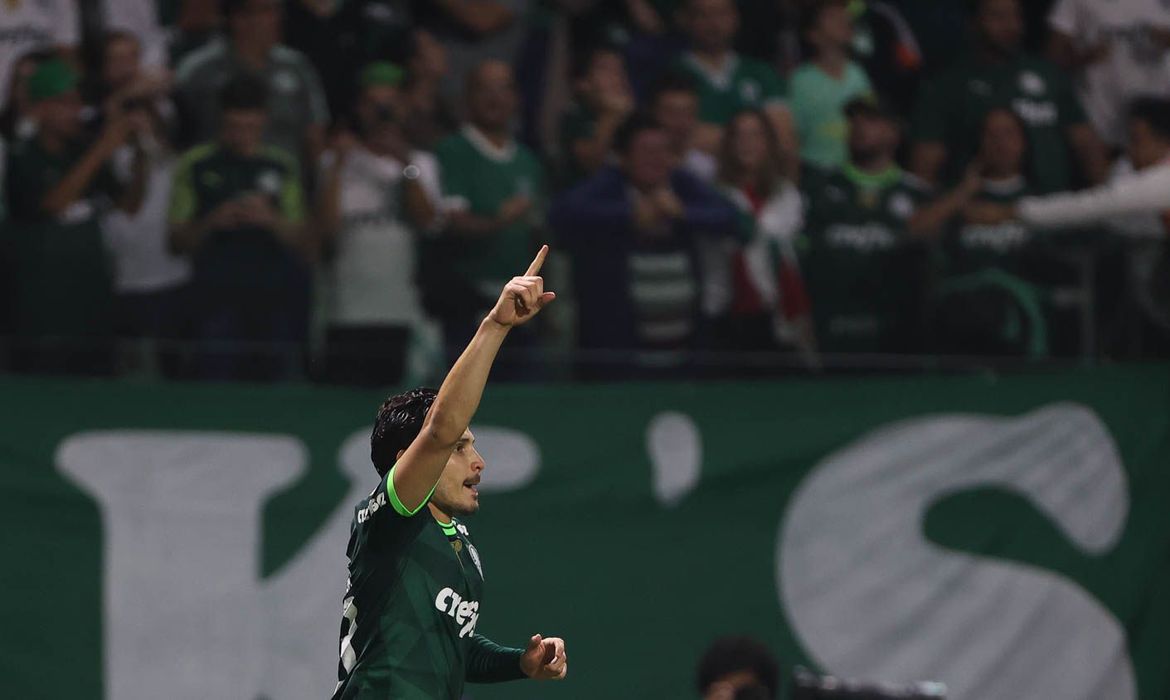 palmeiras