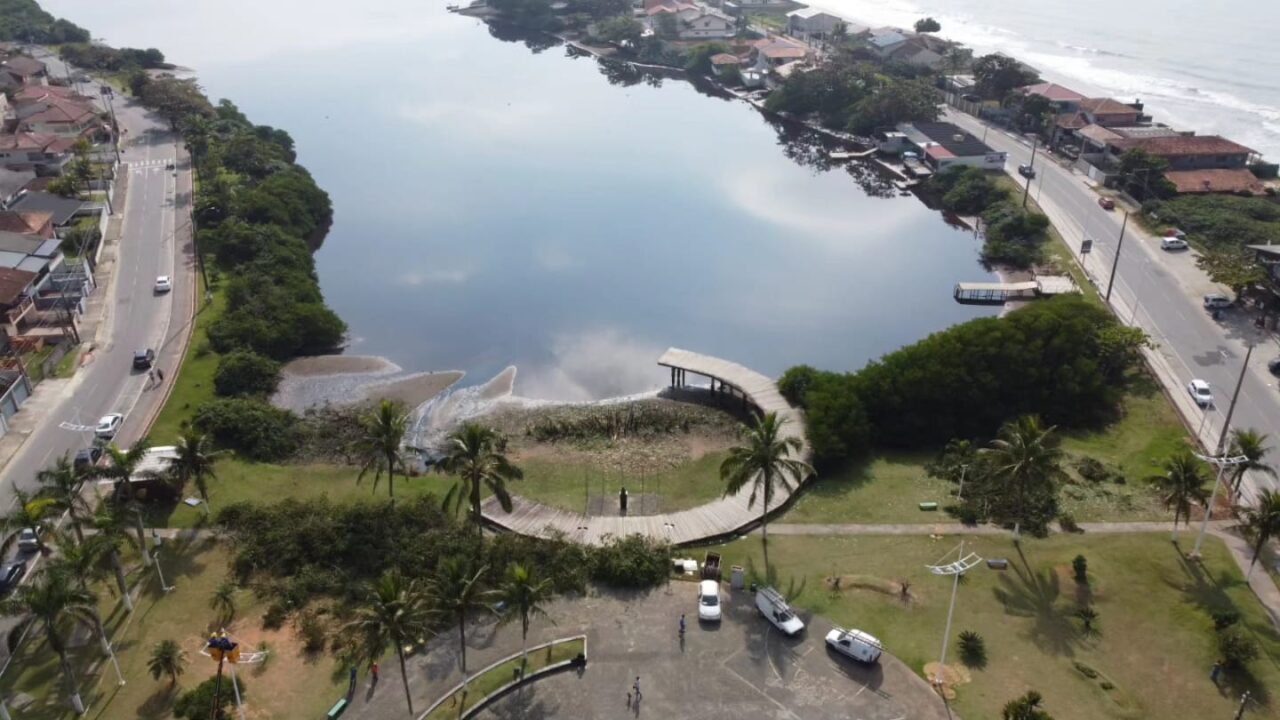mangue1