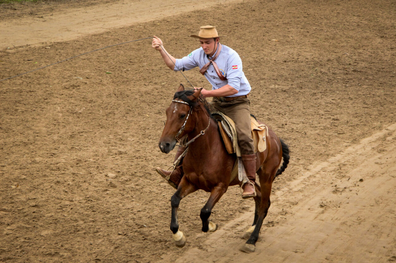 cavalo