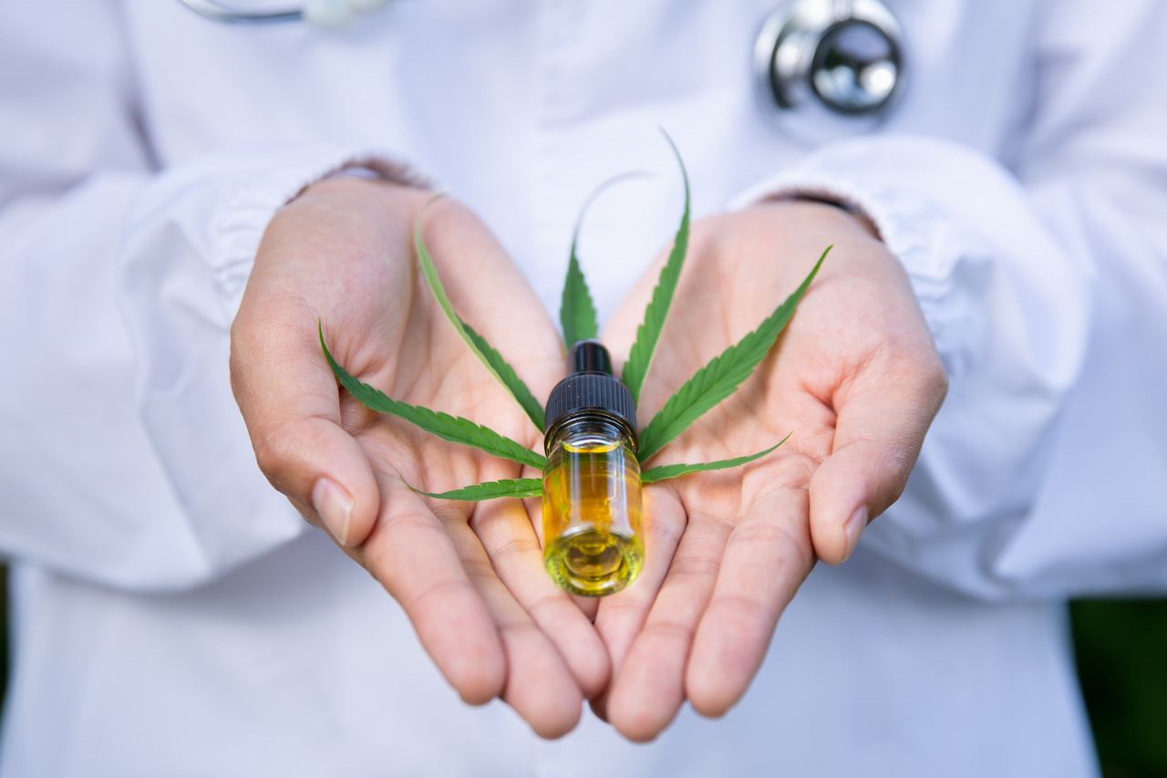 Cannabis-no-brasil_Easy-Resize.com_1