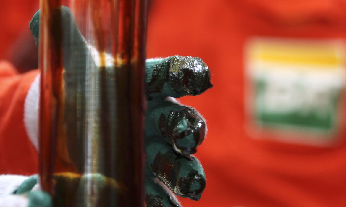 2011-02-16t120000z_1534372485_gm1e72h0dmo01_rtrmadp_3_petrobras