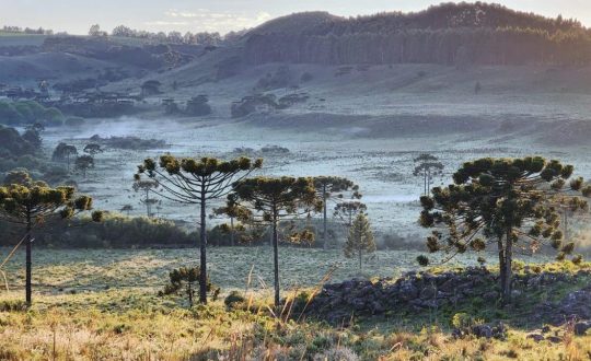 Frio em Santa Catarina