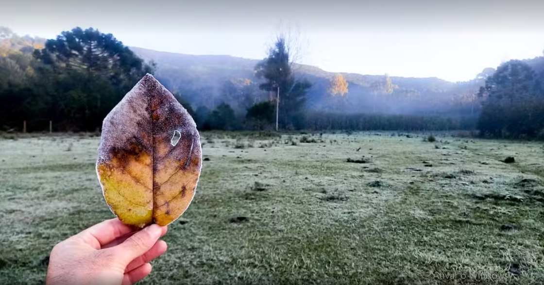 frio1