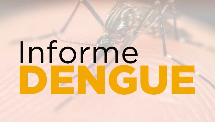 informe_dengue