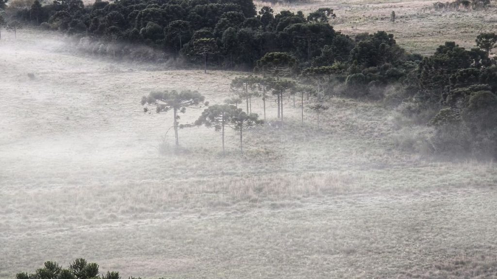 FRIO-EM-SC-1024x576