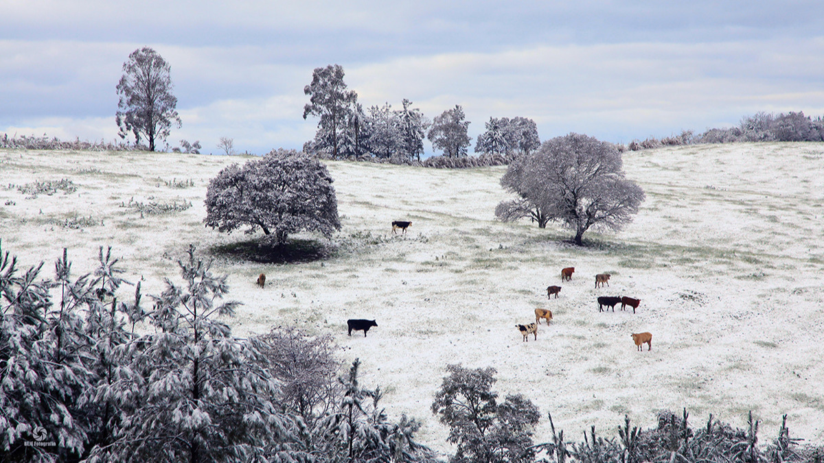 FOTOS-Relembre-neves-historicas-em-cidades-de-SC-e-cenarios-congelados
