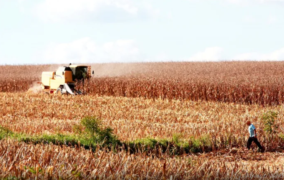 agricultura