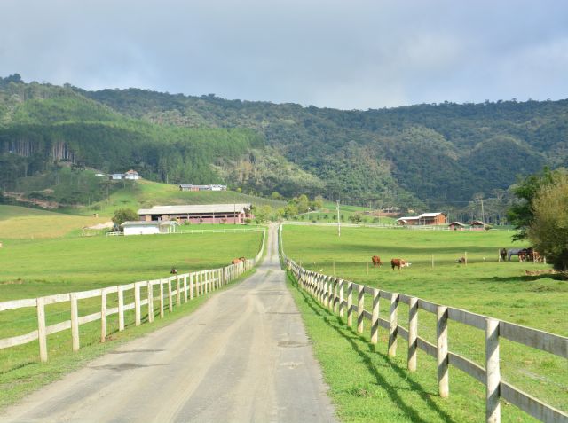 Bovinicultura de Leite