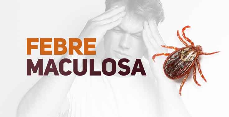 febre_maculosa