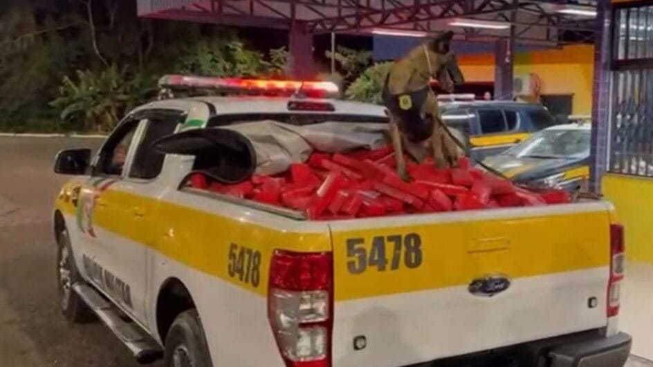 Cerca-de-560-quilos-de-maconha-foram-encontrados-pela-policia-na-rodovia-BR-153-Foto-PRF-Reproducao-944x531