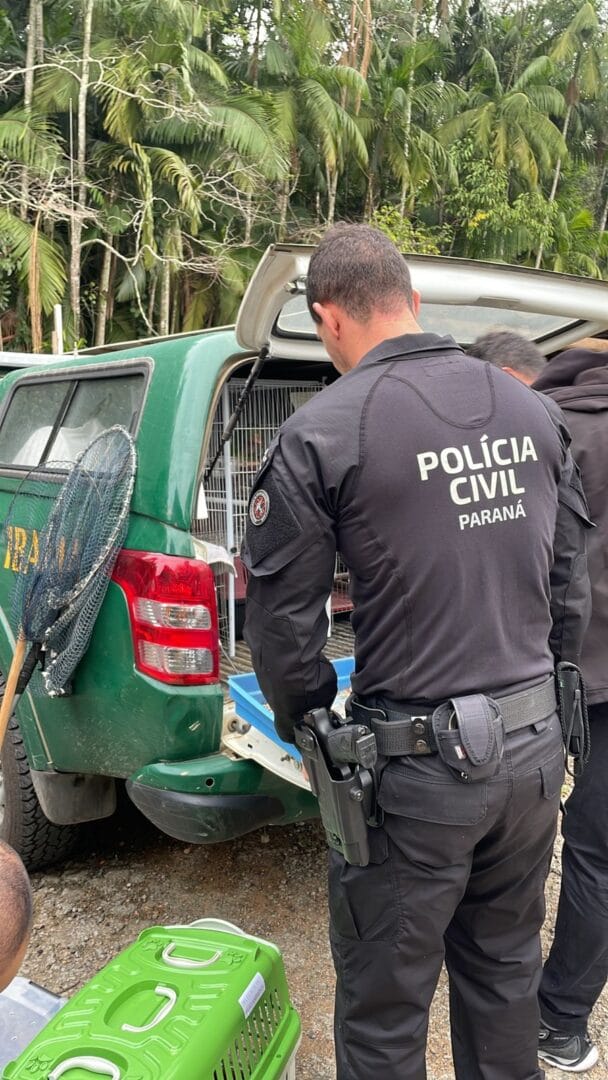 Esquema-que-vendia-ate-oncas-no-mercado-paralelo-provoca-operacao-e-respinga-em-SC-5