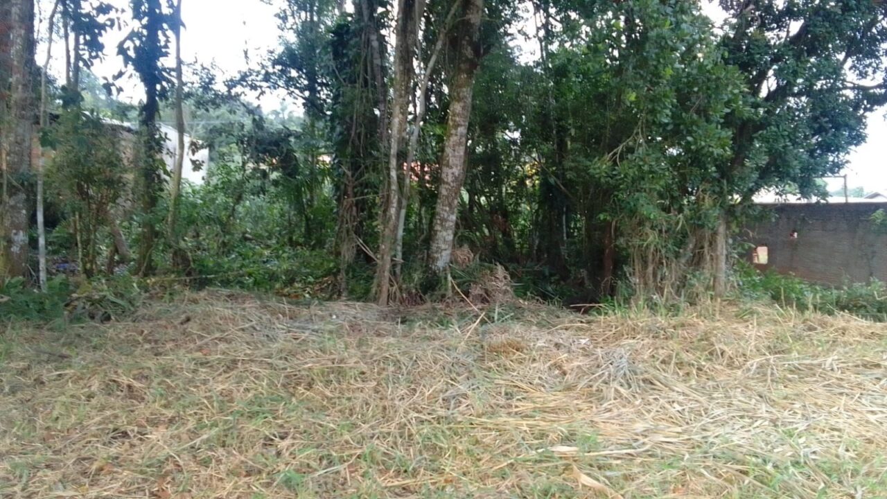 terreno1