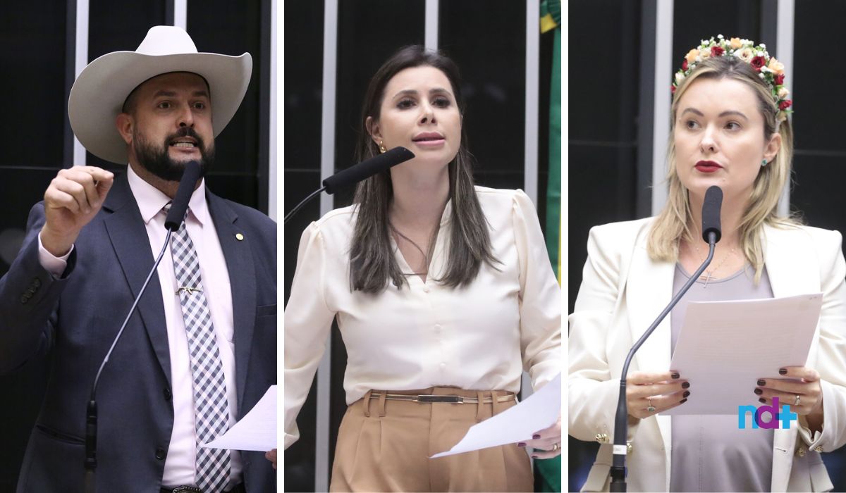 montagem-deputados-catarinenses