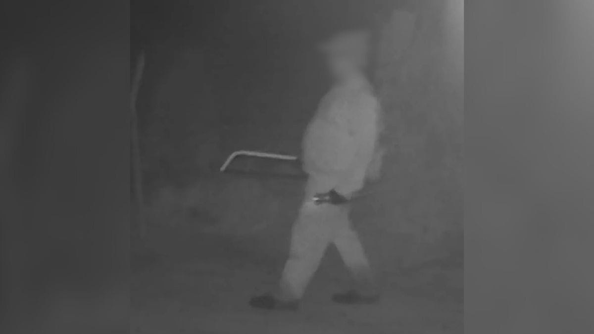 Frigorifico-clandestino-Foto-PCSC-Divulgacao-4