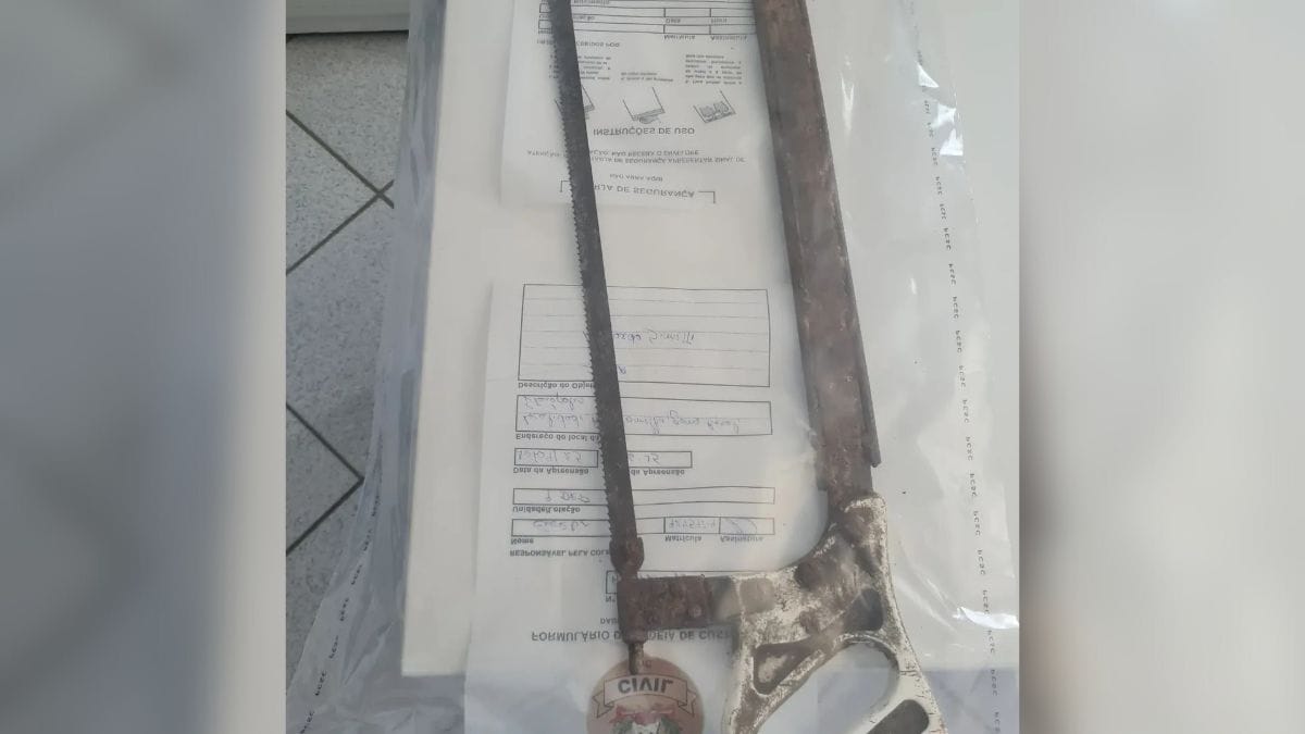 Frigorifico-clandestino-Foto-PCSC-Divulgacao