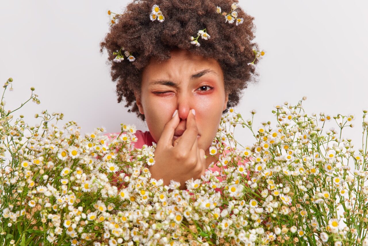primavera-1280x854.jpeg