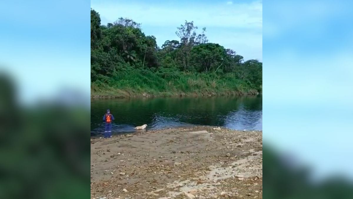 Buscas-por-morador-de-SC-que-desapareceu-ao-gravar-video-de-correnteza-em-rio-entram-no-4o-dia-1