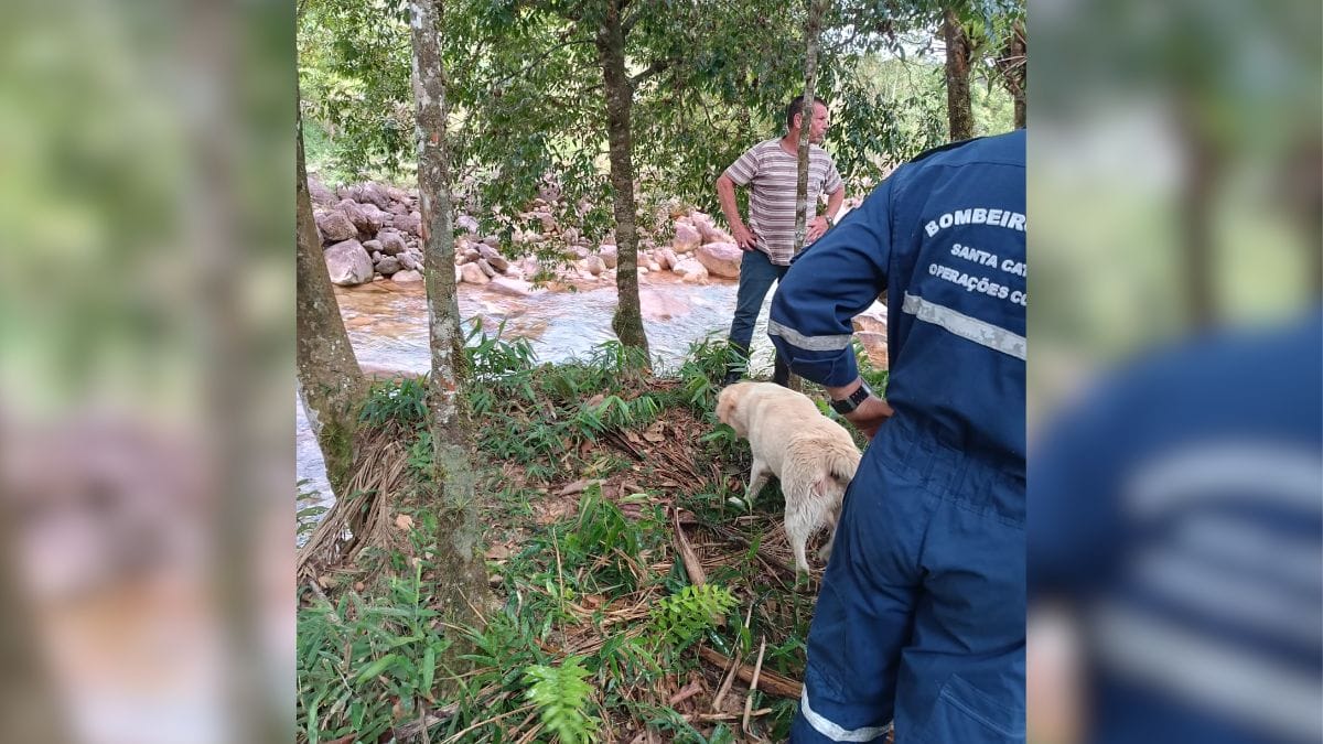 Buscas-por-morador-de-SC-que-desapareceu-ao-gravar-video-de-correnteza-em-rio-entram-no-4o-dia
