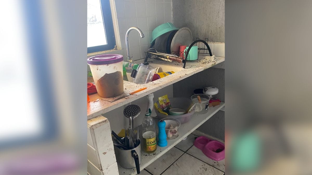 macacos-invaddem-caso-sao-francisco-do-sul-4