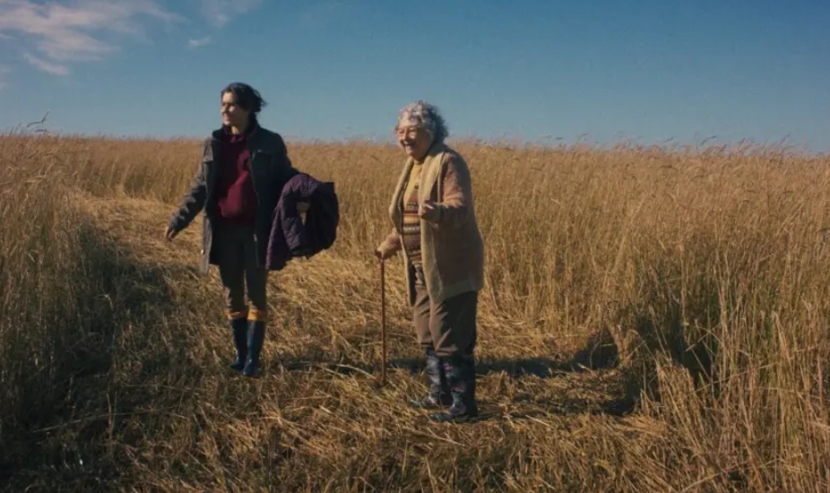 Captura de tela_22-1-2026_101151_carneironews.com.br