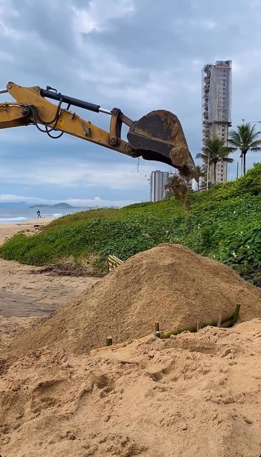 7203f395-cf3c-40ff-a1f9-f420c482bbda