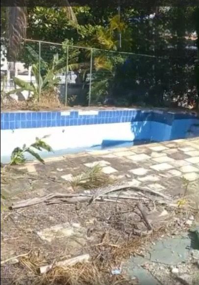 WhatsApp Image 2026-02-10 at 20.39.42