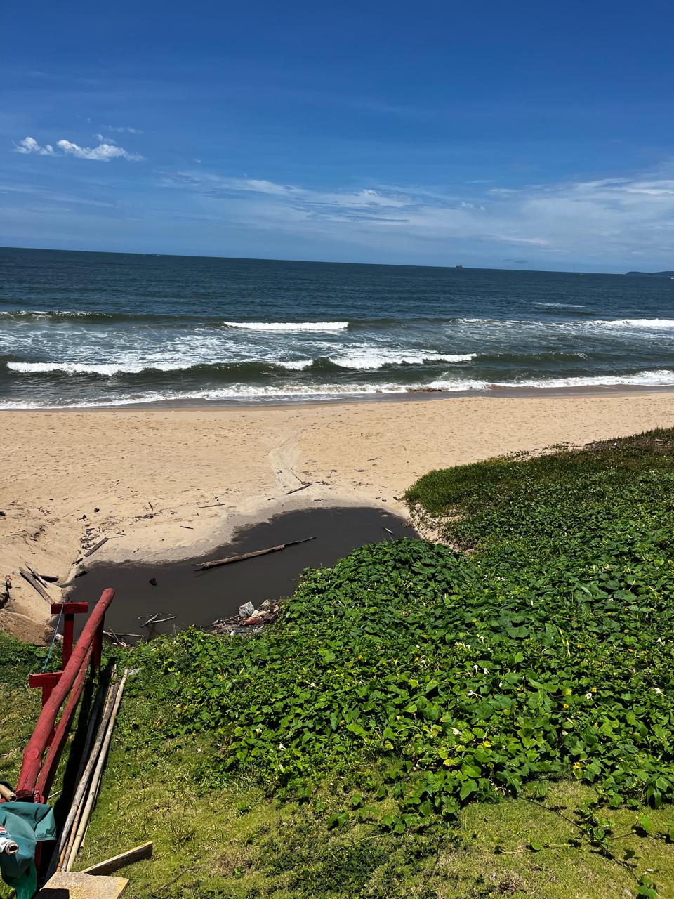 WhatsApp Image 2026-02-11 at 14.51.08