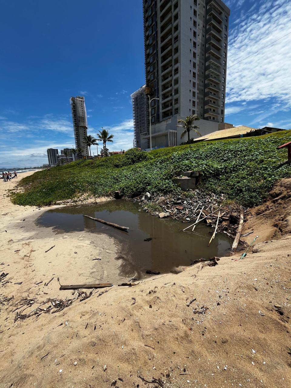 WhatsApp Image 2026-02-11 at 14.51.36