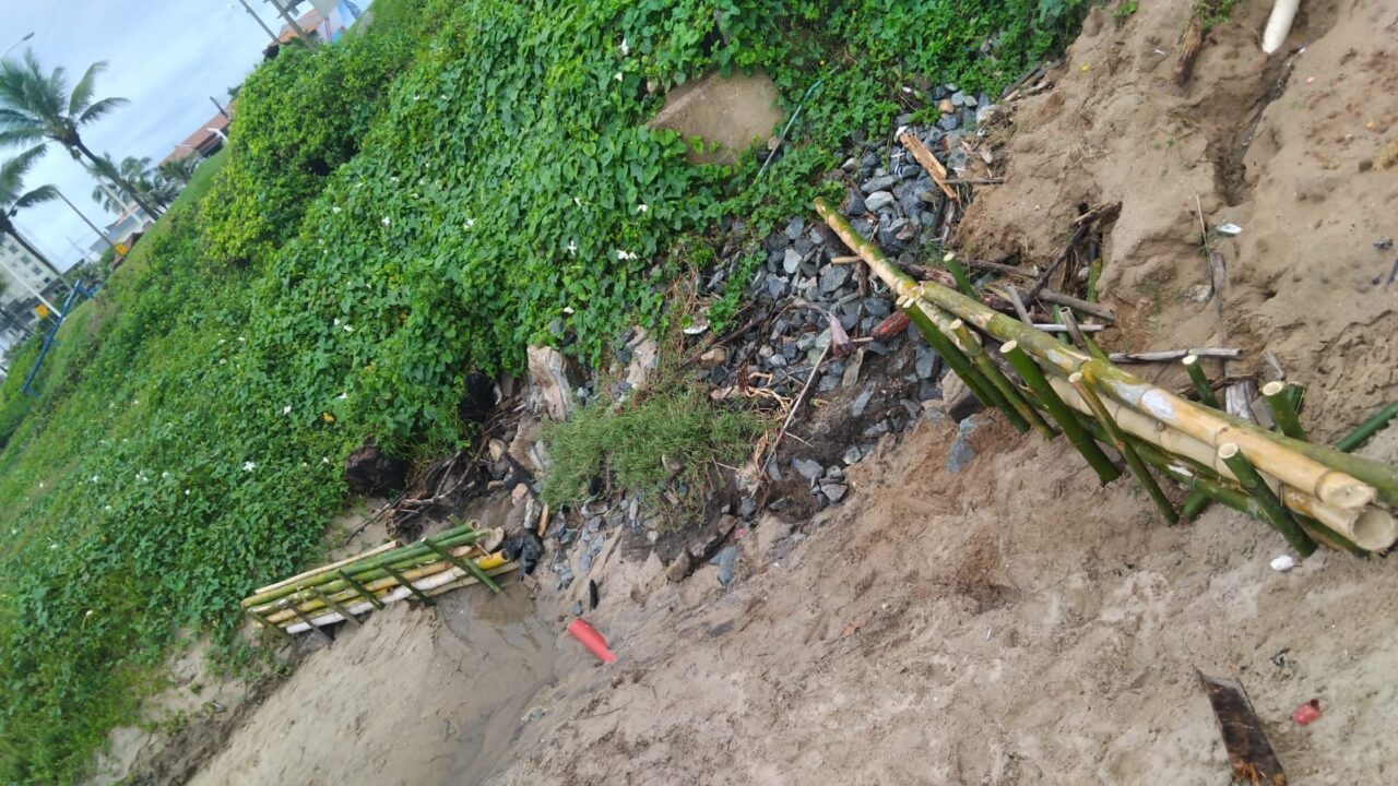 ea49cdcd-e135-44e5-8bfb-86d17b96d4e0