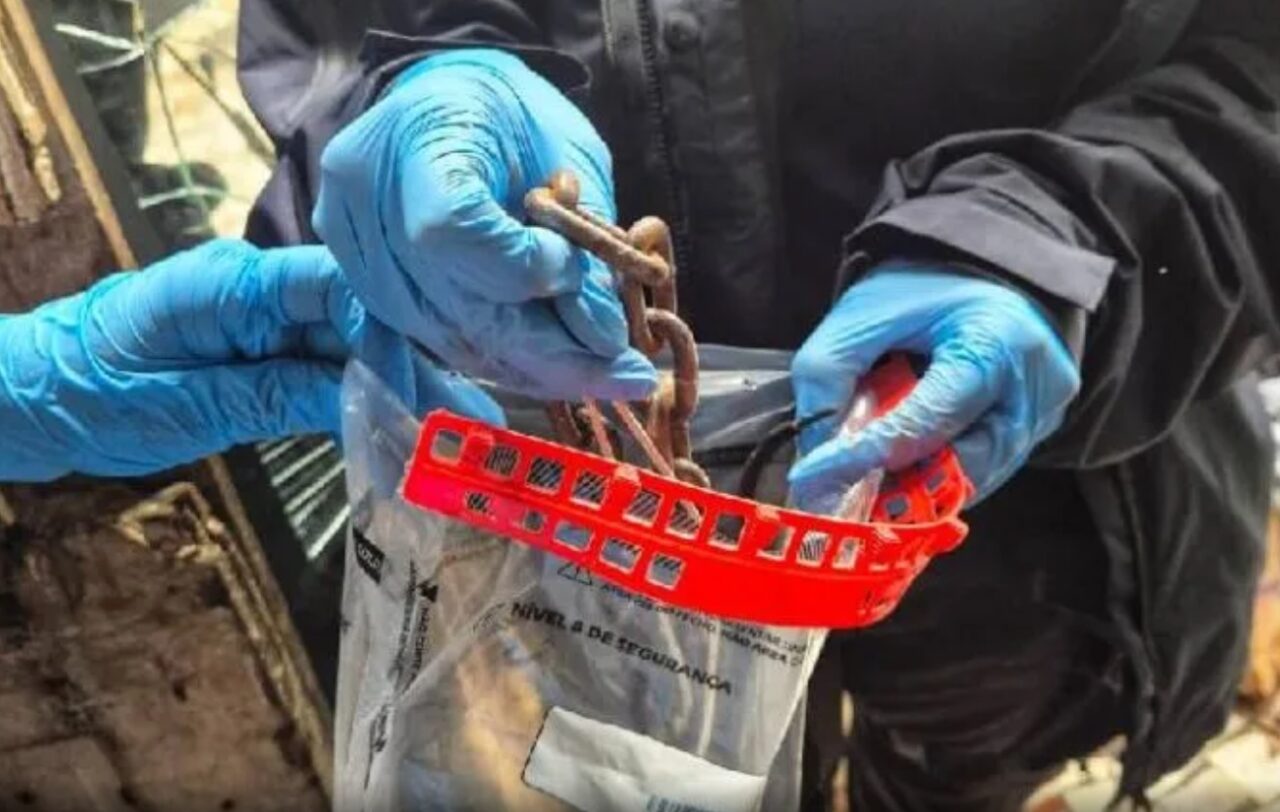 Captura de tela_12-3-2026_9124_carneironews.com.br