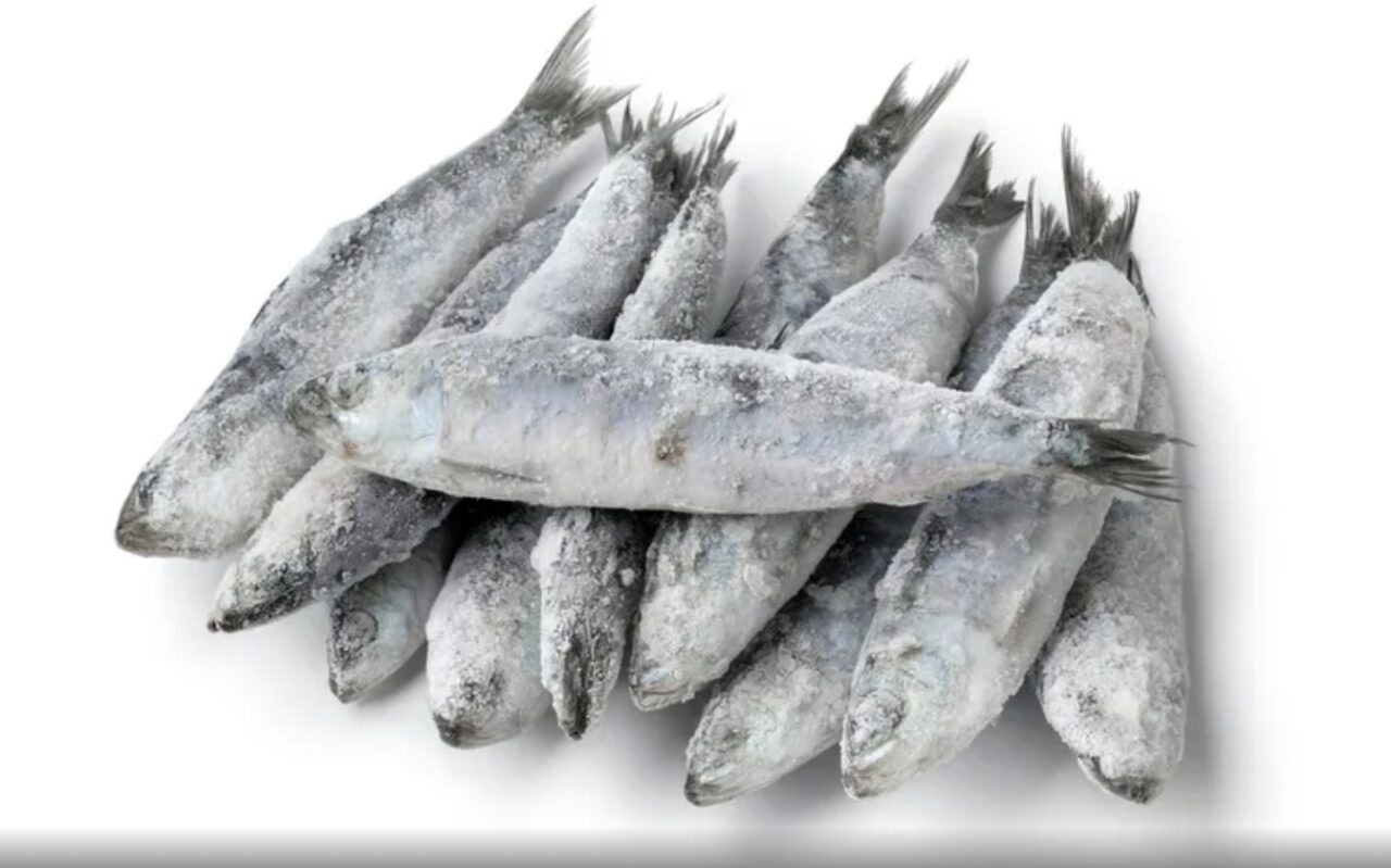 Captura de tela_30-4-2026_10552_carneironews.com.br